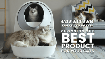 Cat Clean UP 101: Choosing the Best Litter Boxes and Trays