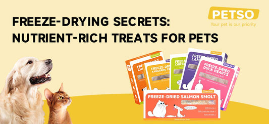 Freeze-Drying Secrets: Nutrient-Rich Treats for Pets