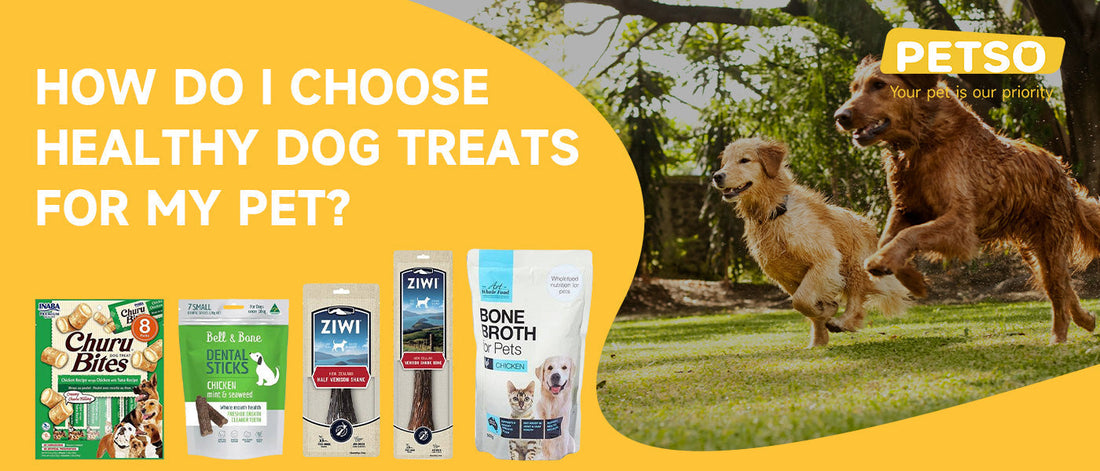 How Do I Choose Healthy Dog Treats for My Pet?