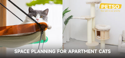 Space planning for apartment cats