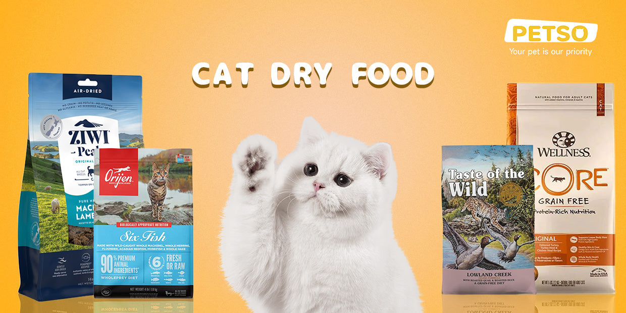 Cat Dry Food