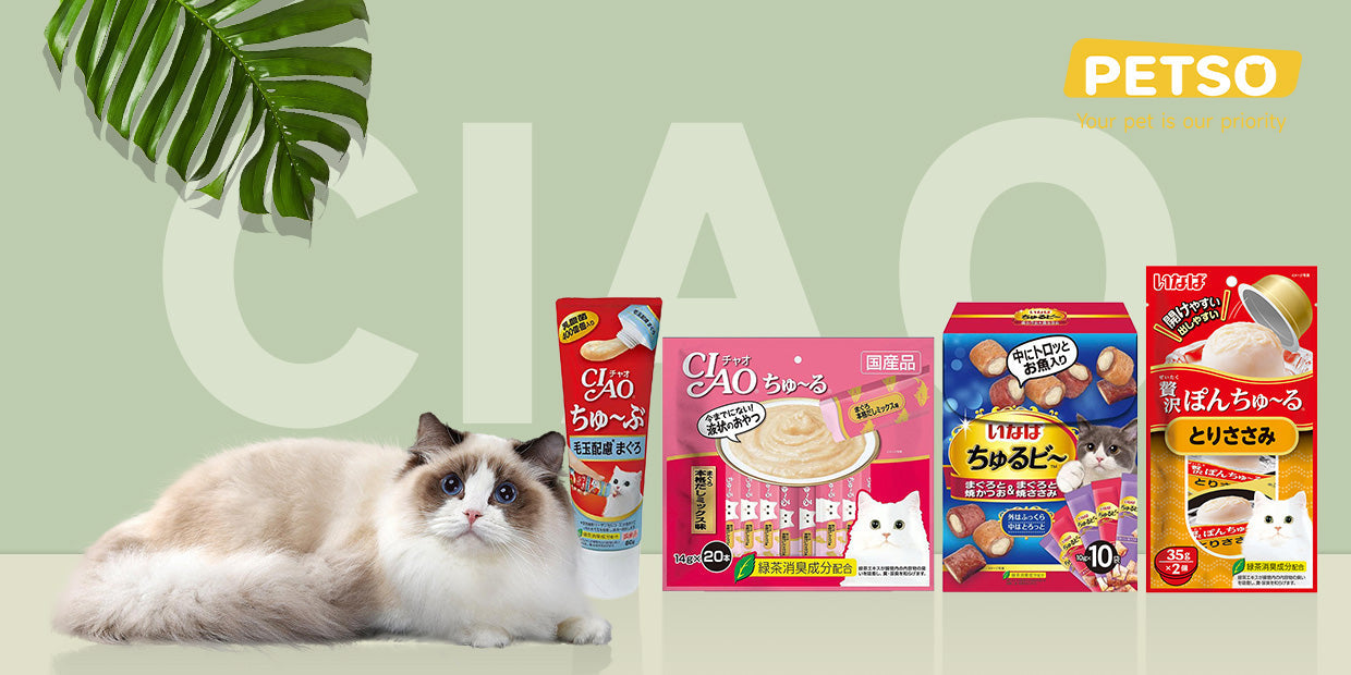 CIAO Cat Treats and Foods