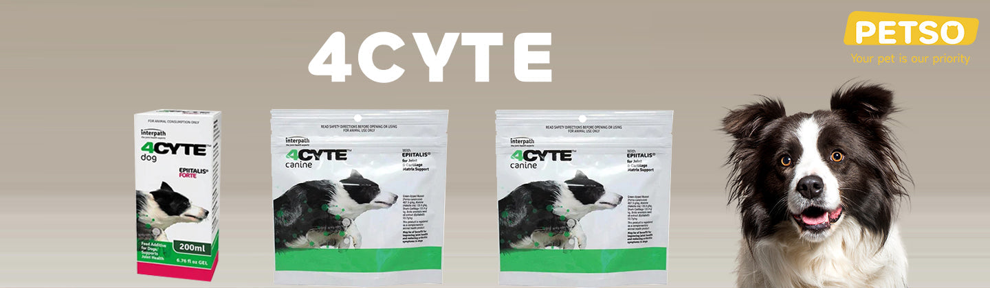 4CYTE Pet Health