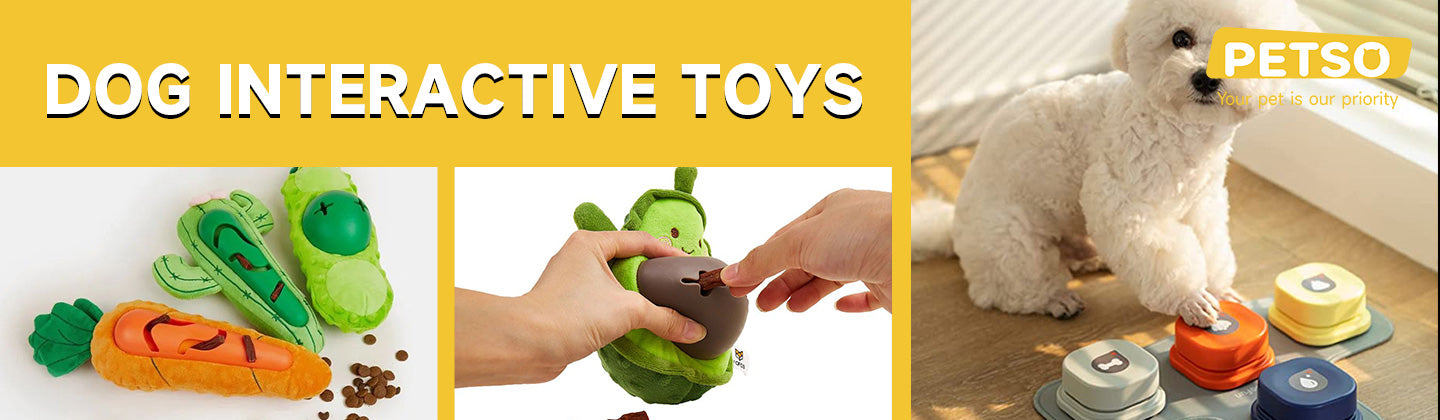 Dog Interactive Toys