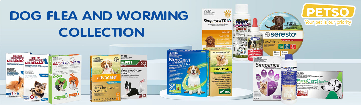 Dog Flea and Worming