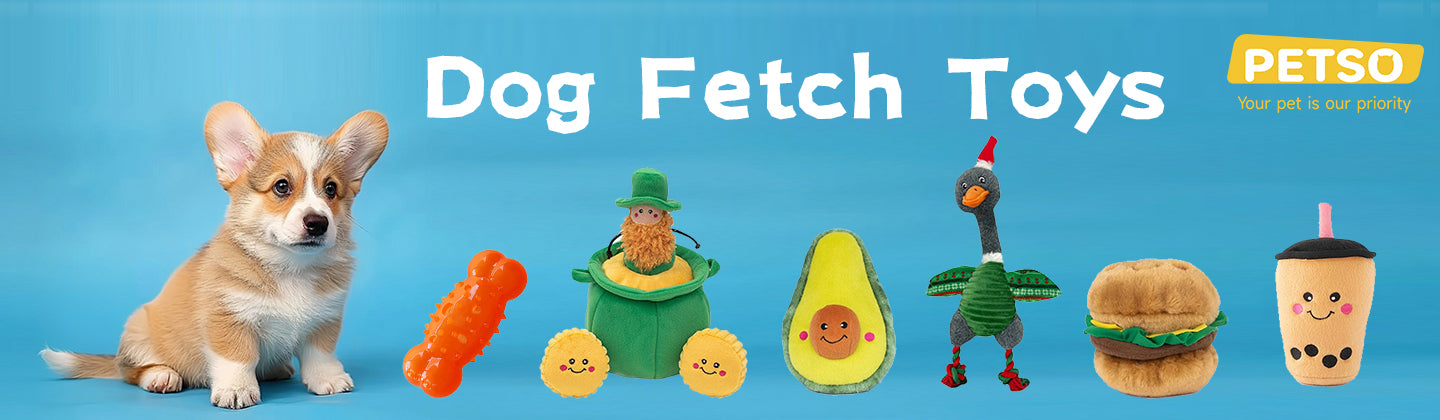 Dog Fetch Toys