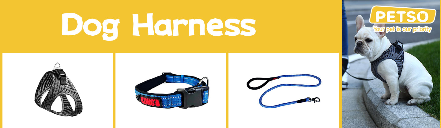 Dog Harness