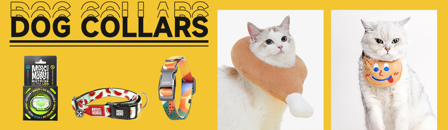 Dog Collars