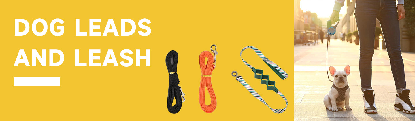 Dog Leads and Leash