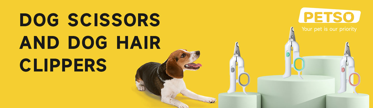 Dog Scissors and Dog Hair Clippers