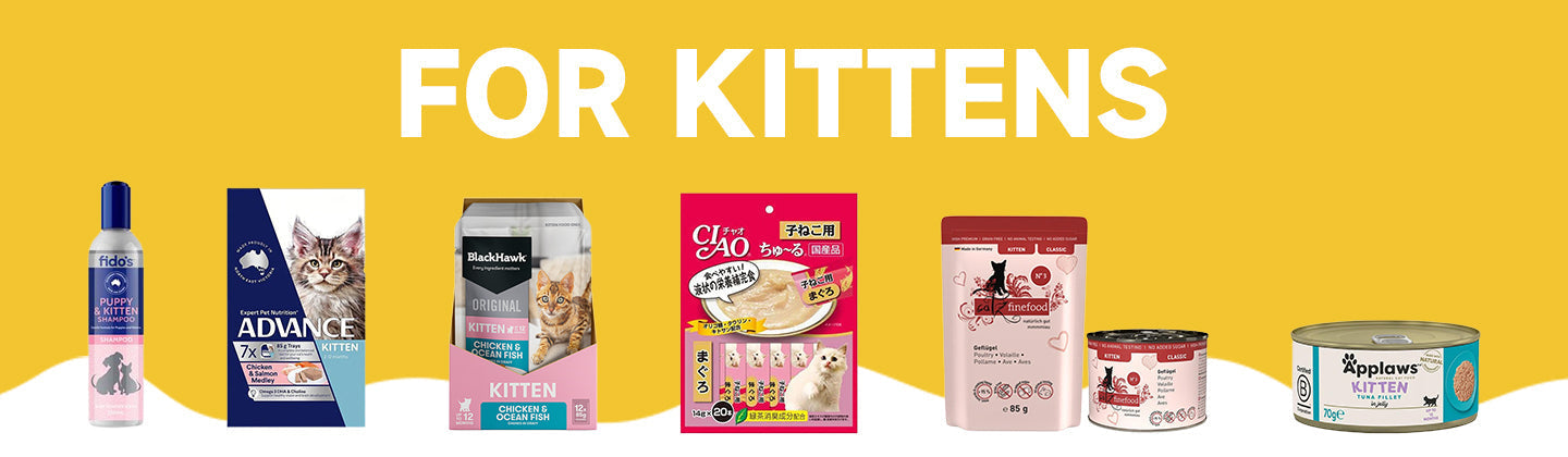 For Kittens