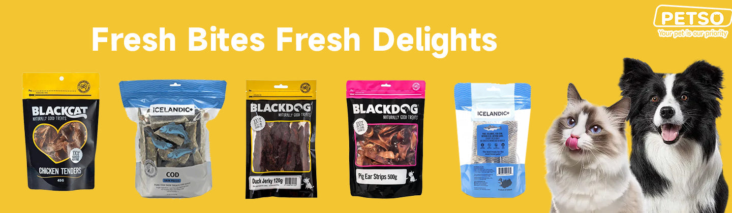 Fresh Bites Fresh Delights
