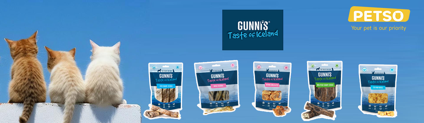 GUNNI'S