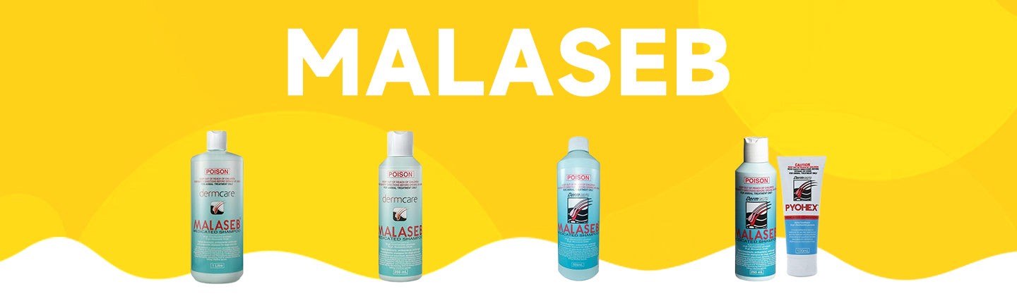 MALASEB