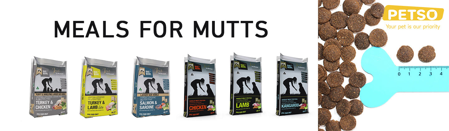 MEALS FOR MUTTS