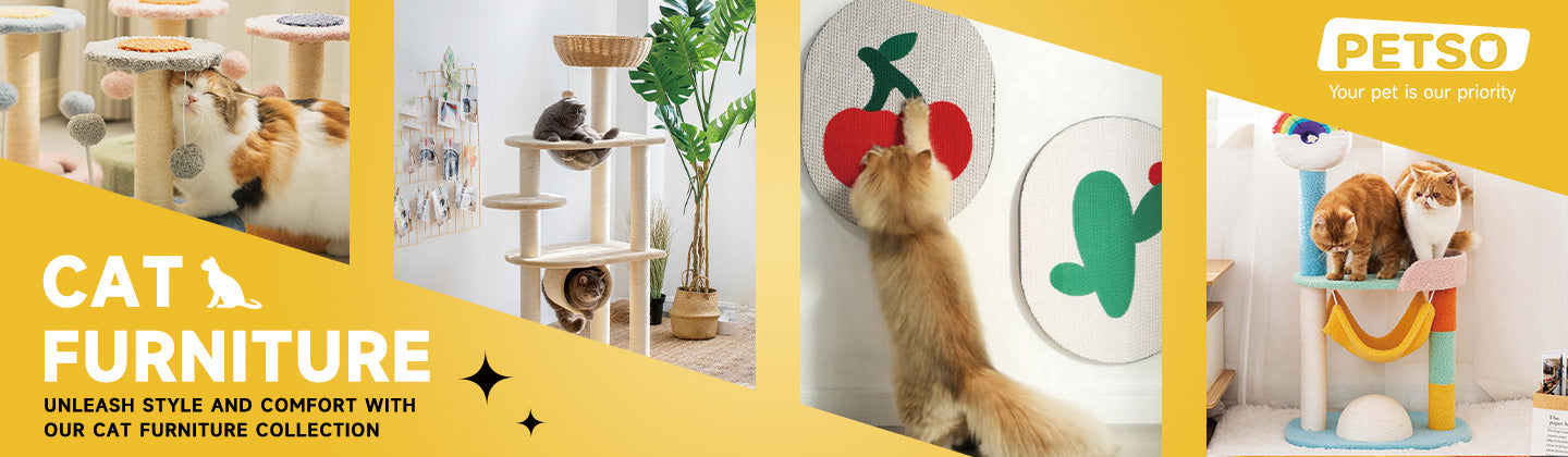 Cat Furniture