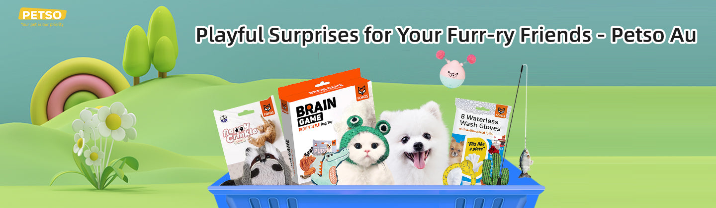Playful Surprises for Your Furry Friends!