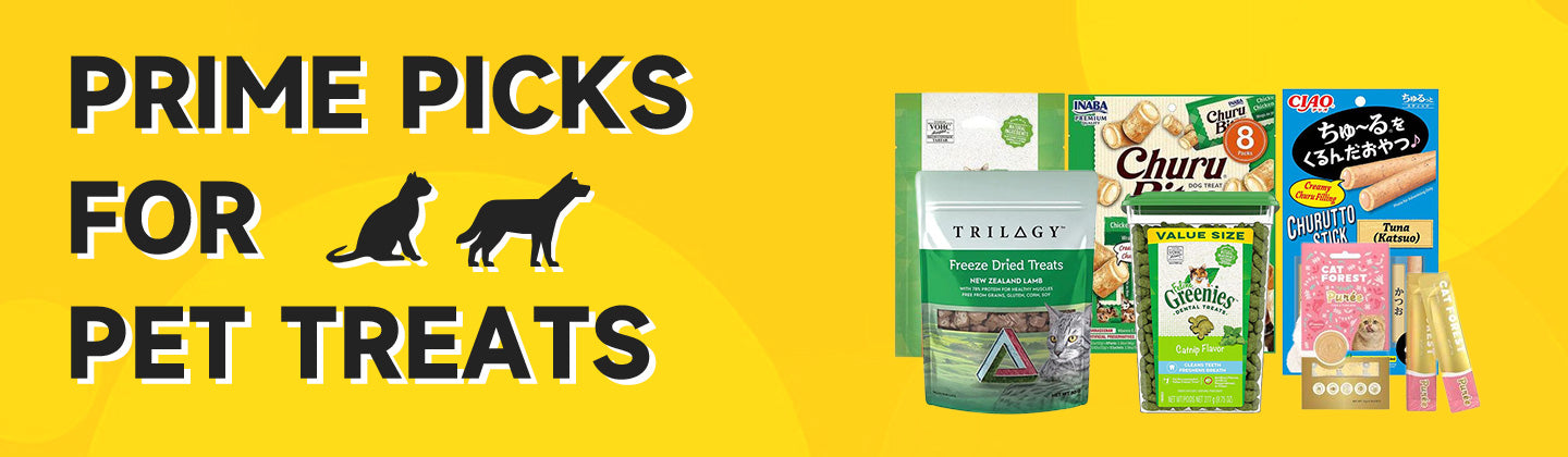 Prime Picks for Pet Treats