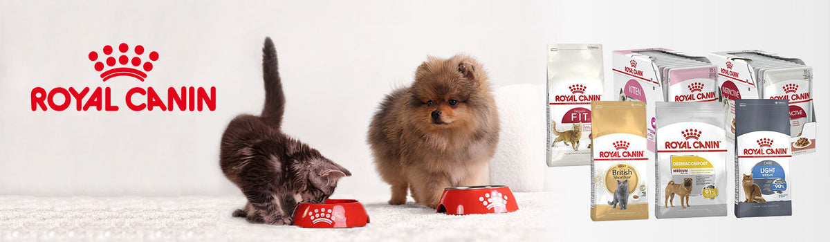 ROYAL CANIN