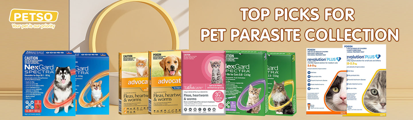Top Picks for Pet Parasite Protection
