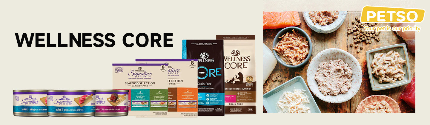 WELLNESS Core