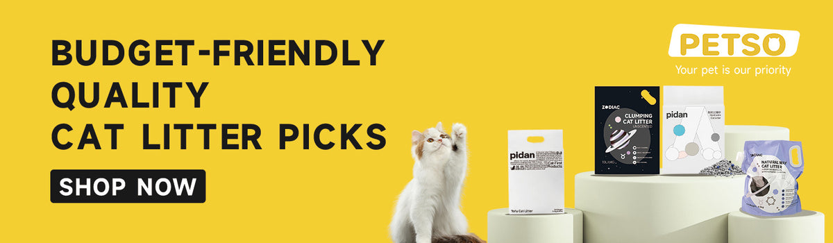 Budget-Friendly, Quality Cat Litter Picks