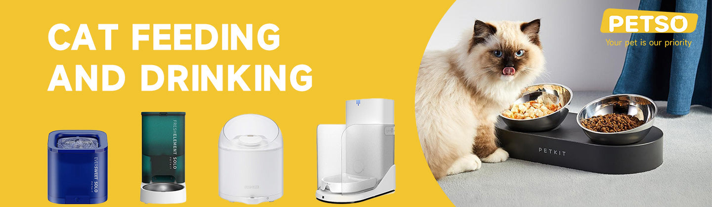 Cat Feeding and Drinking: Automatic Cat Feeders