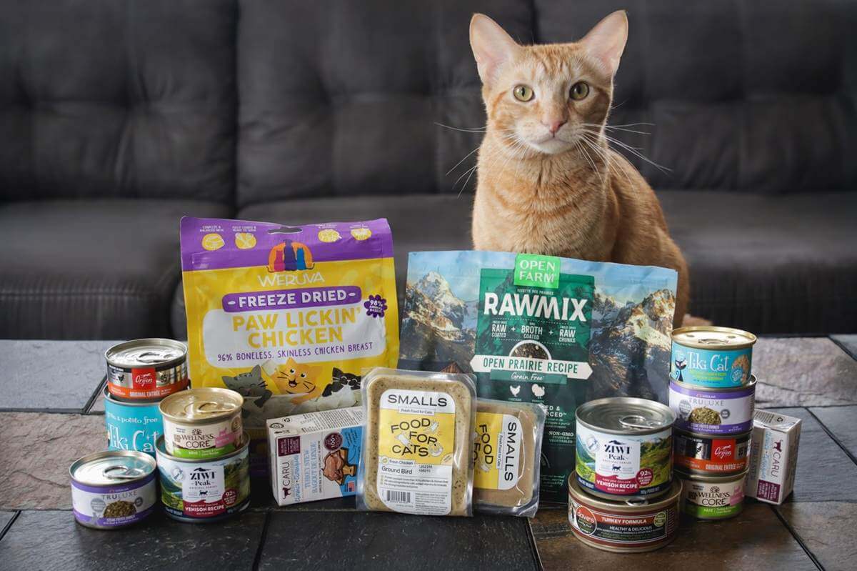 Cat Wet Food