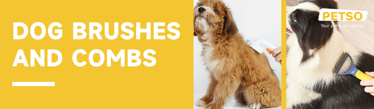 Dog Brushes and Combs