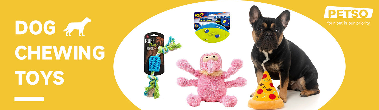 Dog Chewing Toys