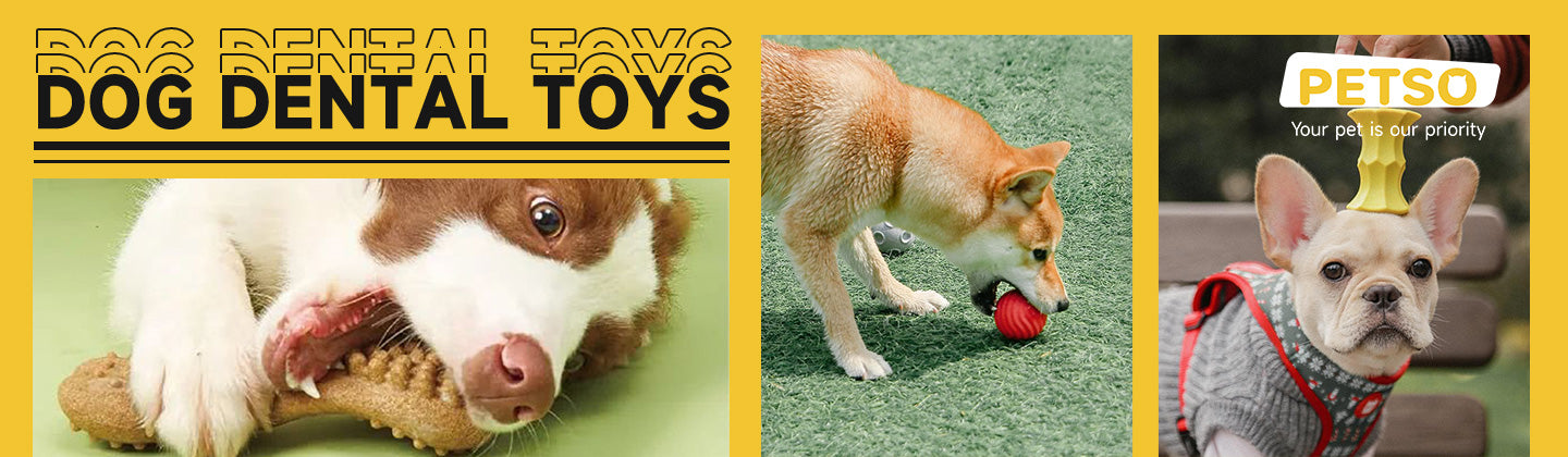 Dog Dental Toys