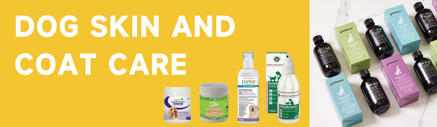 Dog Skin and Coat Care