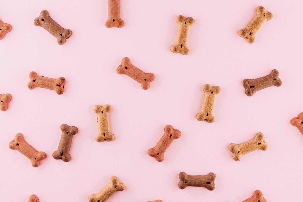 Dog Soft Treats
