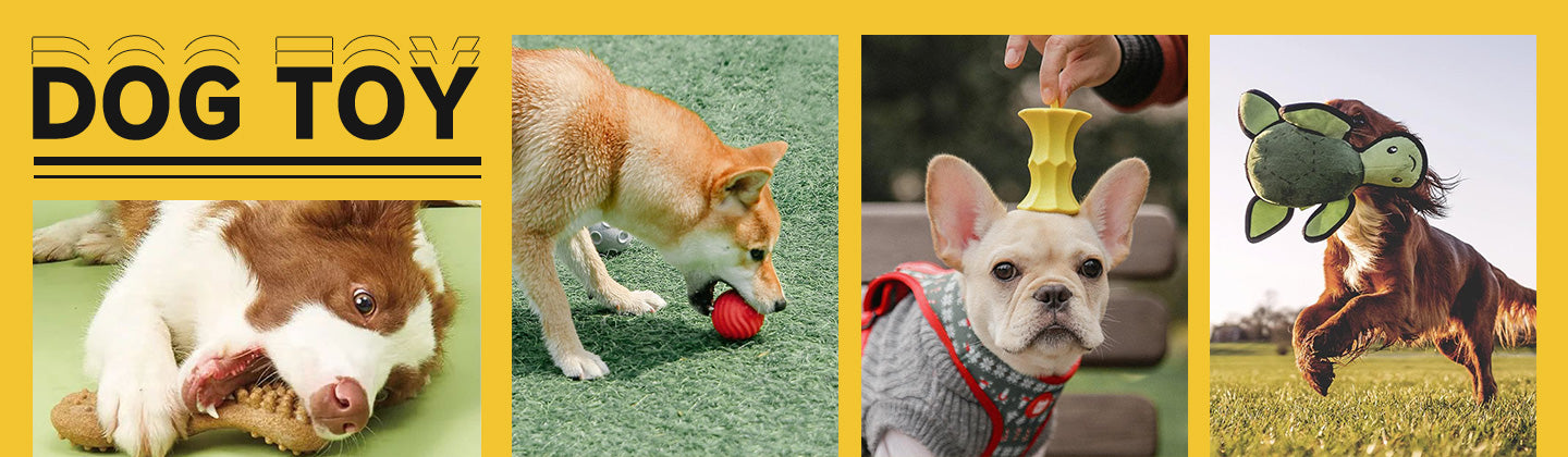 Dog Toy