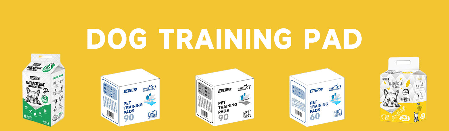 Dog Training Pad