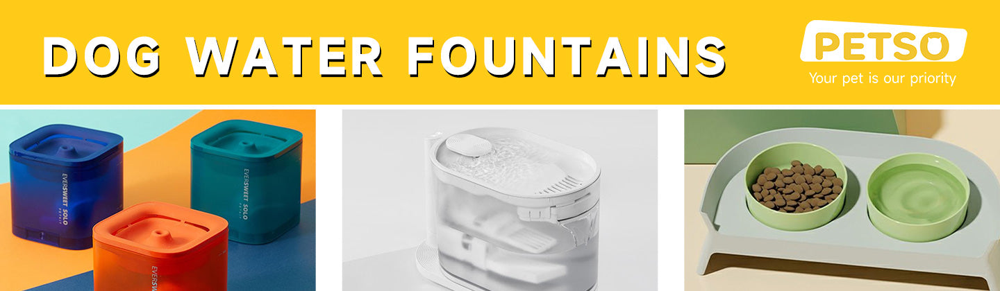 Dog Water Fountains