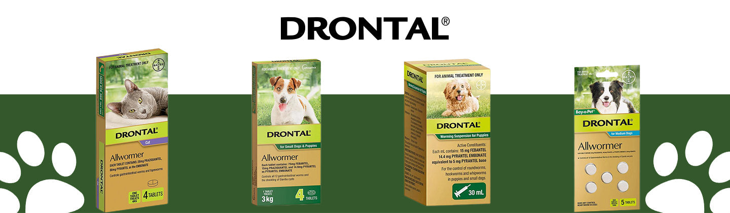 DRONTAL