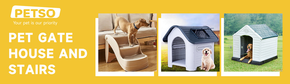 Pet Gate, House and Stairs