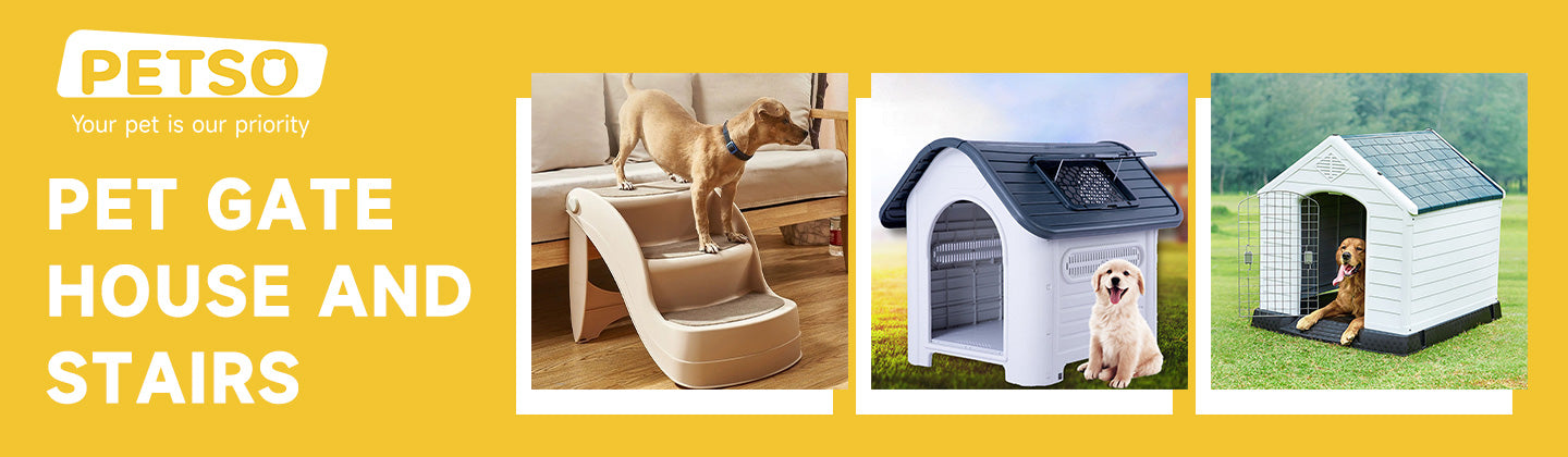 Pet Gate, House and Stairs