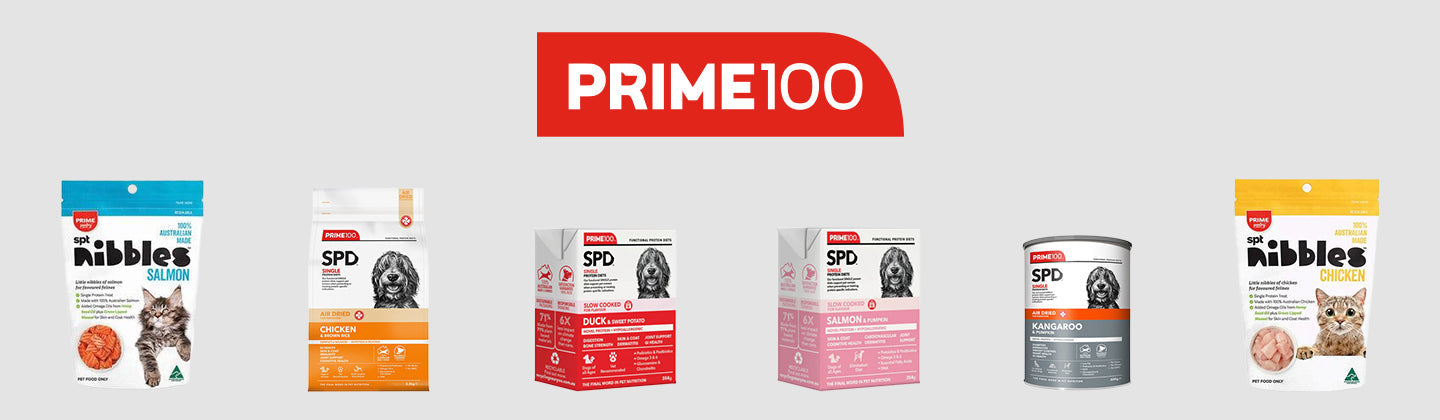 PRIME100