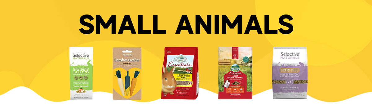 Products and Essentials for Small Animals
