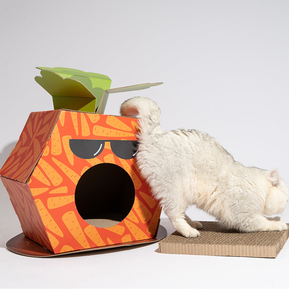 FOFOS Carrot Cat Scratcher House