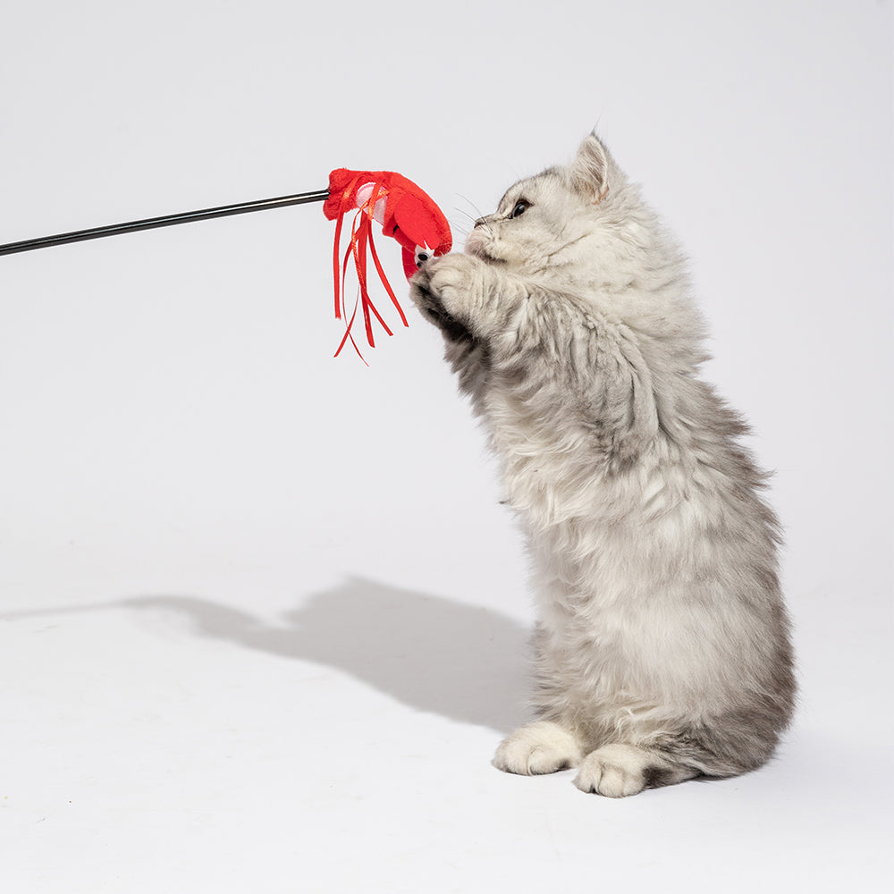 FOFOS Wand Moving Lobster Cat Teaser Toy