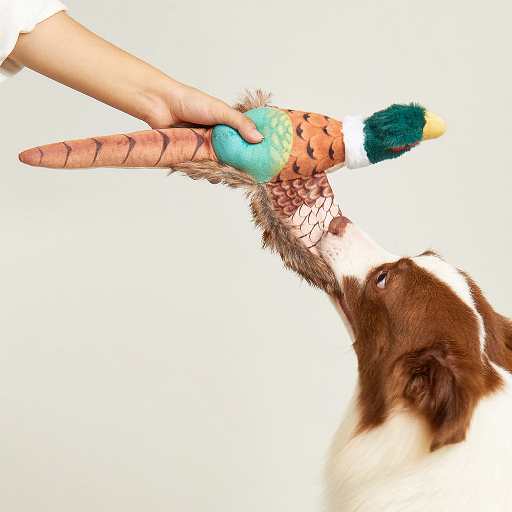 FOFOS Pheasant Plush Squeaky Dog Toy