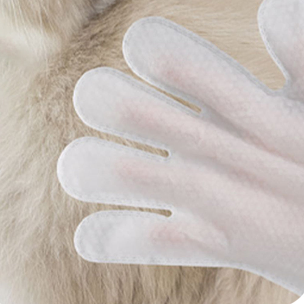KOJIMA Fresh Coconut Scent  Non-Wash Hand Glove 1pcs