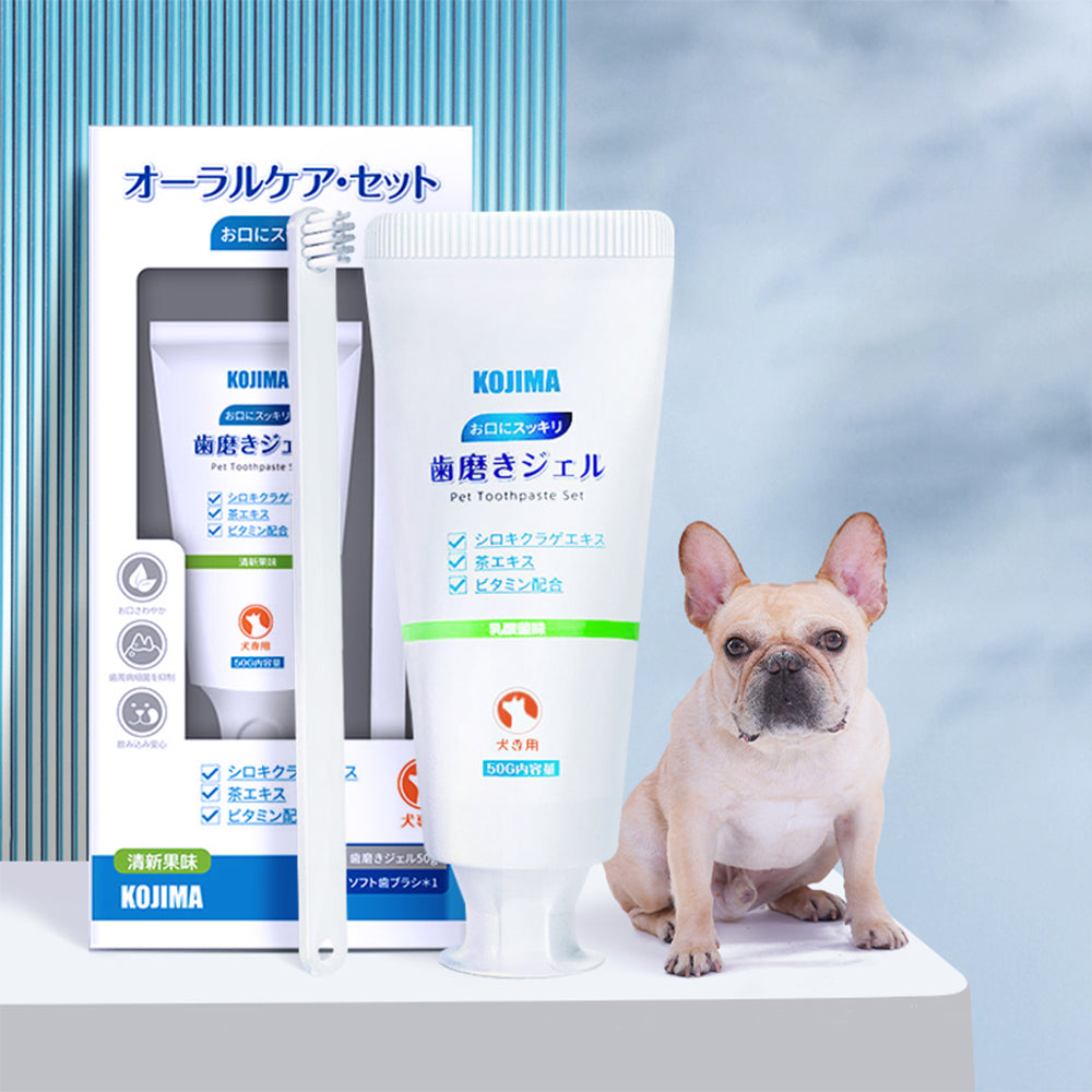 KOJIMA Dog Oral Care Kit