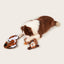 FOFOS Safari Line Tiger Plush Squeaky Dog Toy