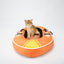 FOFOS Kayak Snug Pet Bed & Mat