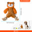 FOFOS Rope Bear Plush Crinkle Dog Toy