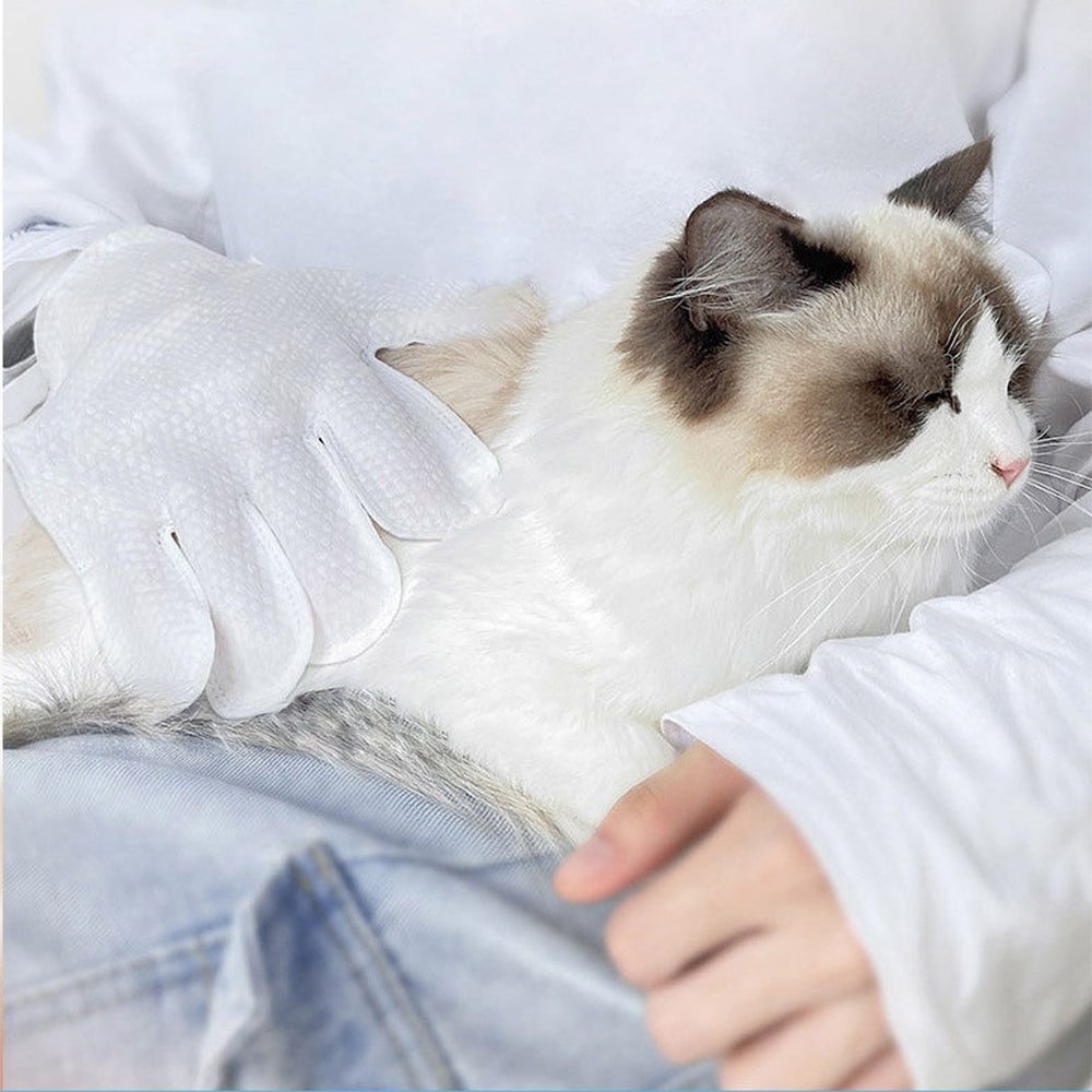 KOJIMA Persimmon-scented Spot-Clean No-Rinse Hand Gloves Pet Mite-Repellent 6pcs